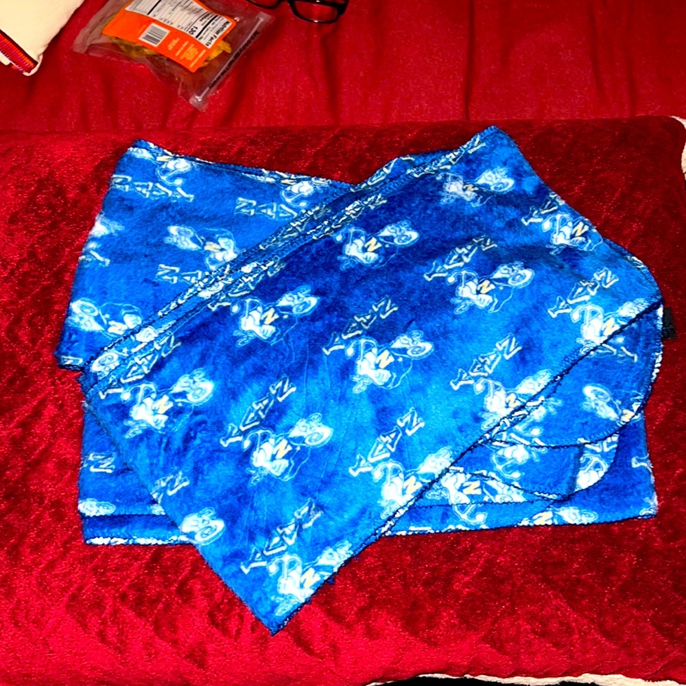 NAVY Fleece Scarfs (3)